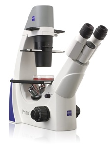 Mikroskop PrimoVert Zeiss, binokulärt, 4x Ph0, 10x Ph1, 20x Ph1