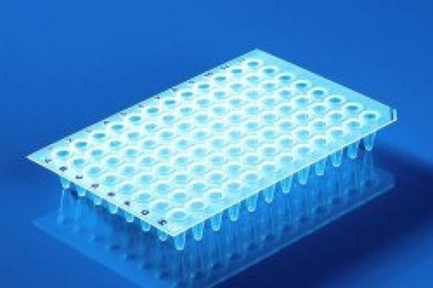 96-brunnars PCR-plattor m/semi-sidor, std, klara