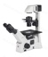 Mikroskop omvänt Motic, AE31E, binokulärt, 45° visning