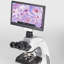 Mikroskopkamera inkl. LCD-skärm, Moticam 1080N BMH