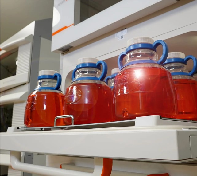 Thomson optimum growth 7L flasks.jpg