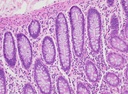DP75-2.jpg