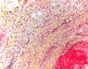 BX43-6.jpg