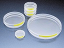 petri-dishes-TPP.jpg