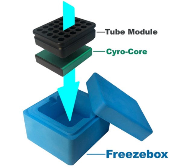 xzc6r4pn.jpg
