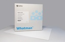 Whatman 1 Chr-2.jpg