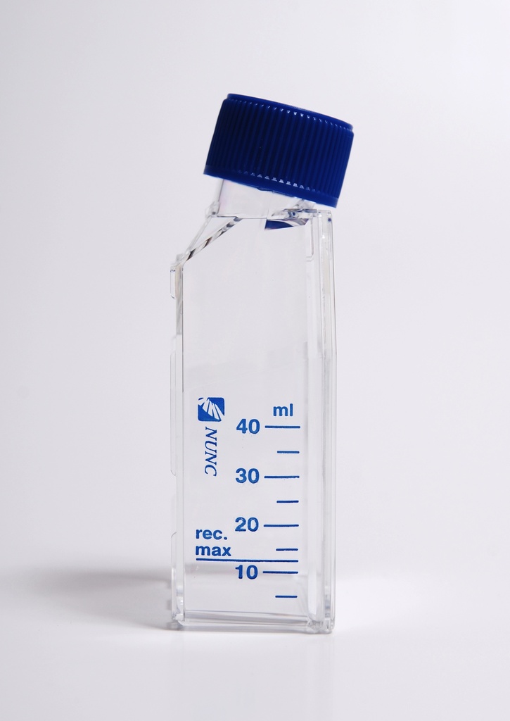 Thermo_Small_cell_culture_flat_flask.jpg