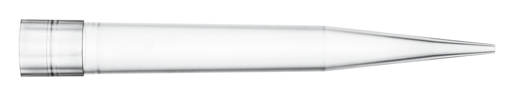 791003.2.jpg