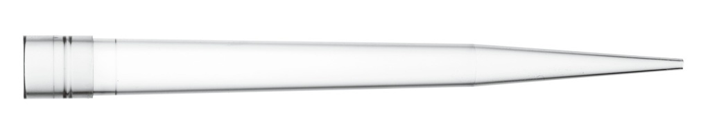 791202.2.jpg
