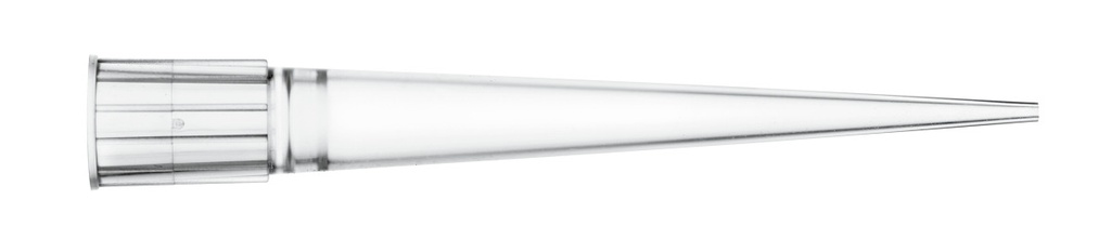 790201.2.jpg
