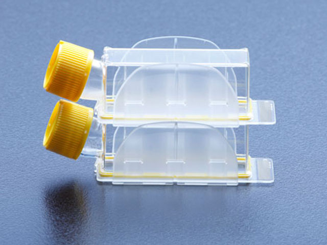 Clipmax-stack-2016-640.jpg