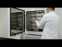 youtube - [Video]