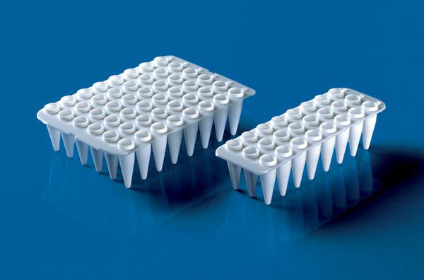 48 brunnars PCR-plattor, PP, vita, qPCR (fp. m 20)