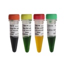 DNA markör, 100 bp - 10 Kb, 500 µl
