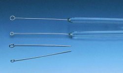 [1371660] Platina-iridium platinös, glasskaft, Ø3 mm ögla