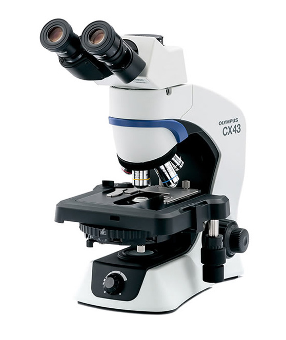 [5610301] Microscope, Olympus CX43 PH, 4x/10x/40x