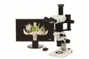 Stereo Microscope, Olympus SZX7 Ergo, 8x-56x