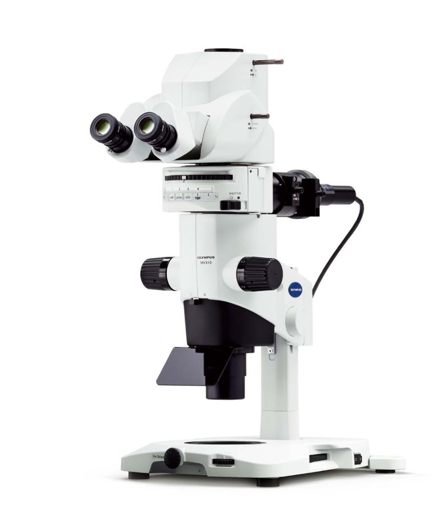 Stereo microscope, Olympus MVX10, 6.3X–63X
