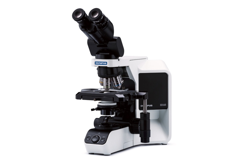 Microscope, Olympus BX43, 4x/10x/40x