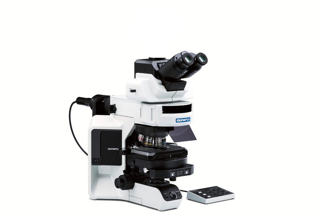 Microscope, Olympus BX53 FL, Semi-motorized, 4x/10x/40x