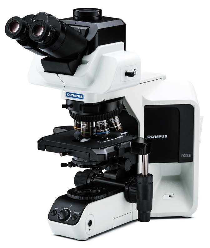 Microscope, Olympus BX53 PH, 10X/20X/40X