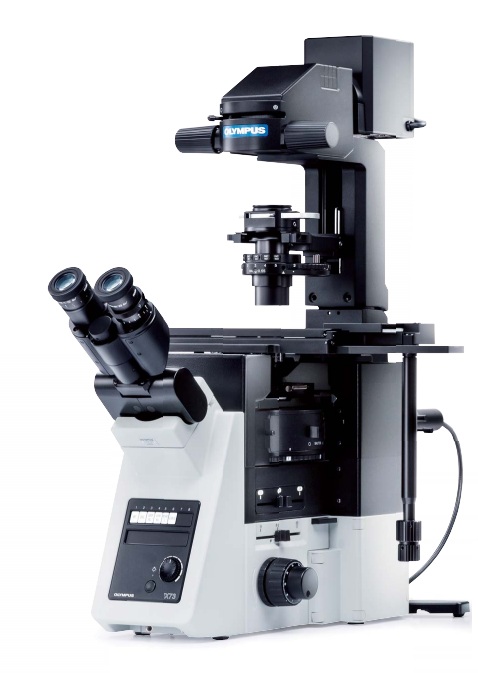 Microscope, Olympus IX73 PH FL, 4x/10x/20x/40x
