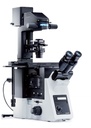 Microscope, Olympus IX73 DIC, Semi-motorized, 4x/10x/20x/40x