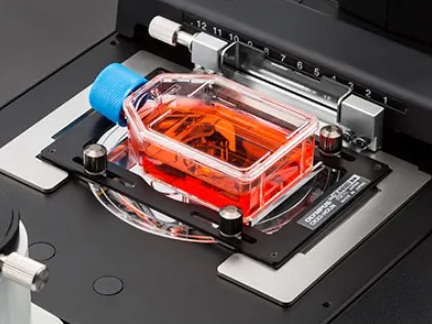 Specimen holder, Olympus CKX3-HOUN, universel for petri dishes, slides and flasks, for CKX3-MVR