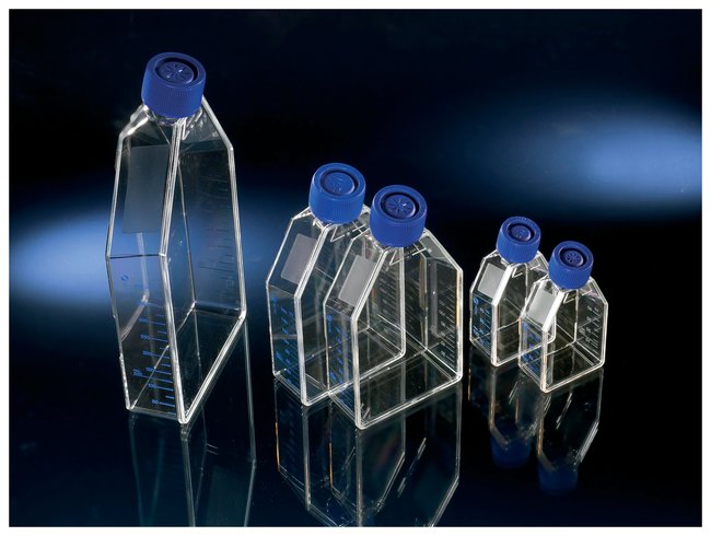 Nunc EasYFlask 75 cm², filterlock, Collagen