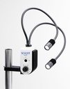 [6266981] Svanhalsar, dubbel, SCHOTT EasyLED komplett system