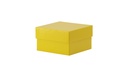 Kryobox, TENAK, 133 x 133 x 75 mm, PP-belagd kartong, utan rutnät, gul
