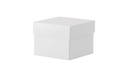 [1522780] Kryobox, TENAK, 133 x 133 x 100 mm, PP-belagd kartong, utan rutnät, vit