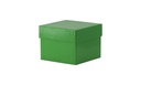 Kryobox, TENAK, 133 x 133 x 100 mm, PP-belagd kartong, utan rutnät, grön
