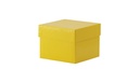Kryobox, TENAK, 133 x 133 x 100 mm, PP-belagd kartong, utan rutnät, gul