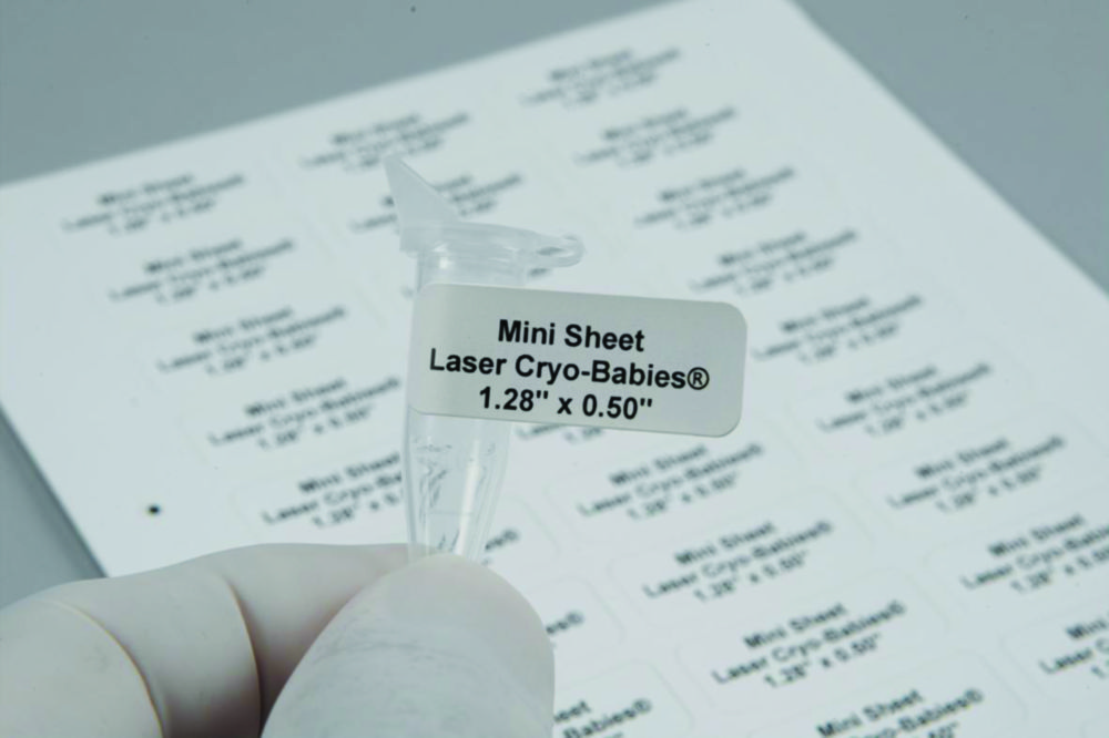 Etiketter, Laser-Cryo-Babies 33x13 mm, vita