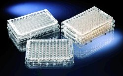 Immunoplattor, PS,96 brunnar, MaxiSorp U96, 60 st.
