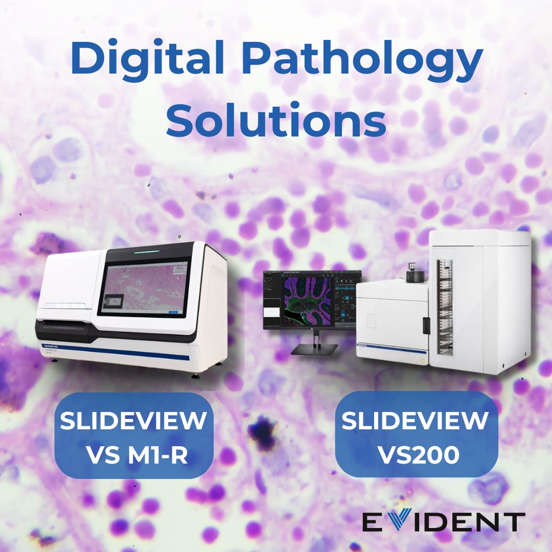 Slide scanners